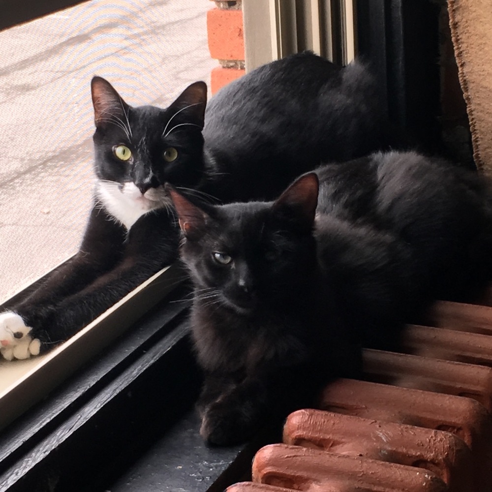 Meet your Posher, Megan